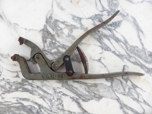 Pince var ancien - ✨pince,